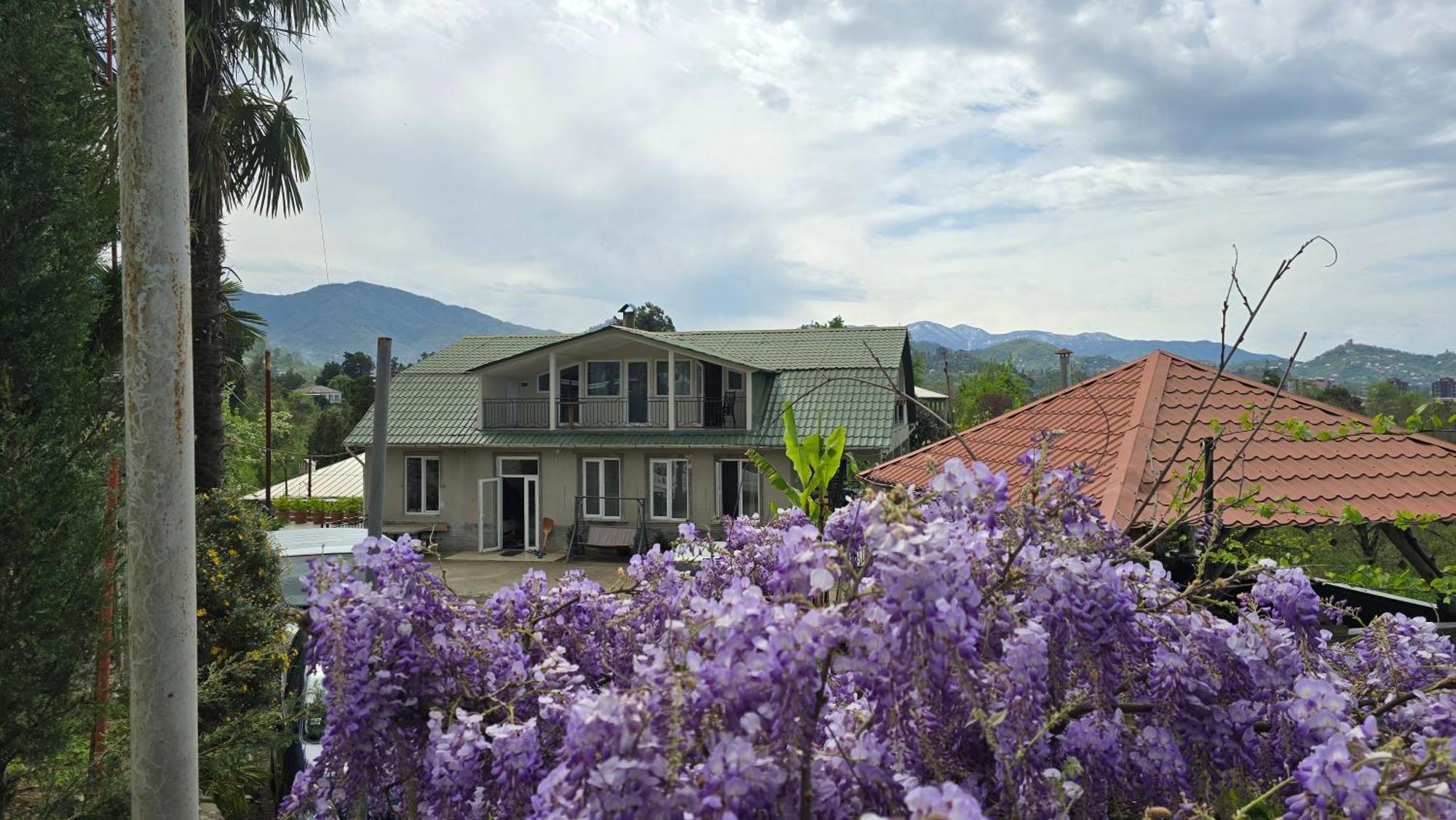 Olga'S Home Batumi Bagian luar foto